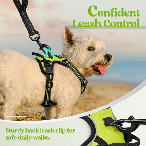 Dog Harness No Pull with 2 Leash Clips (X-Small / Wild Lime)