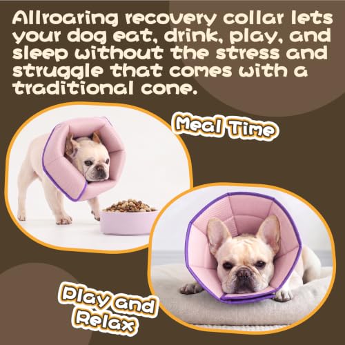 Adjustable Dog Cone for Spay (Purple / L(Neck Girth:13.39"-17.32"))