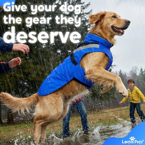 Dog Clothes Dog Raincoat (Blue / X-Large)