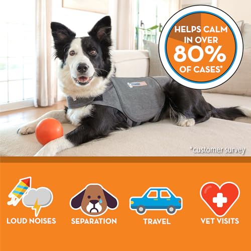 for Dogs Calming Anxiety Vest (Heather Grey / XS)