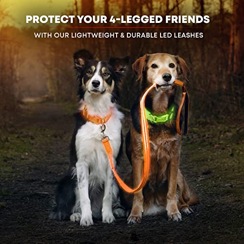 LED Light Up Dog Leash (4 Feet / Bright Orange)