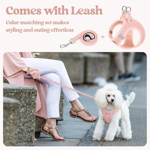 Dog Harness Small Sized and Leash Set (Pink / Xxxs (chest: 10.8 - 11.8"))