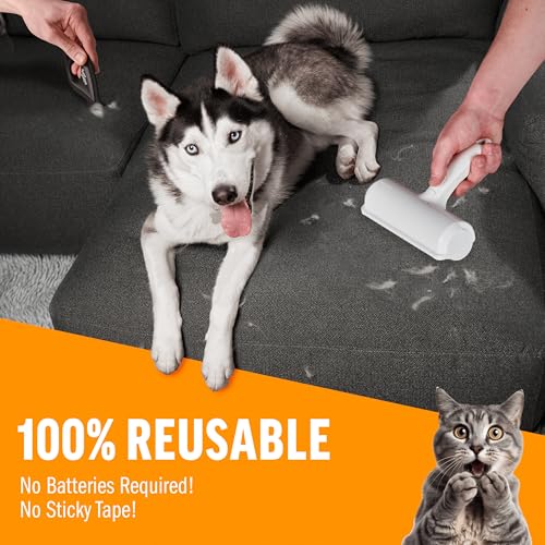 and Detailer White - PetSolution