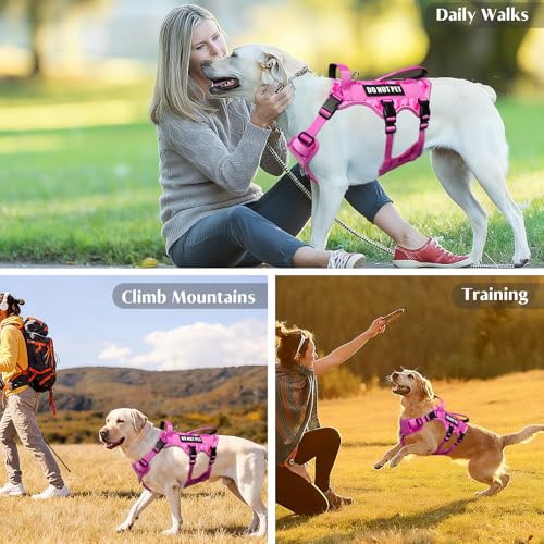 Escape Proof Dog Harness with Double Handle+4 Removable Patches (Medium / Camo Pink)