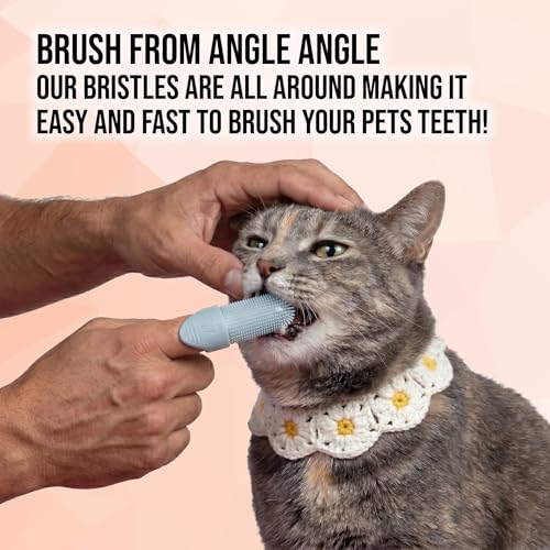 4 Pack Pet Dental Care Kit (1 Count (Pack of 4))