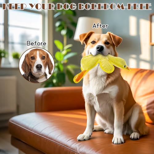 No Stuffing Dog Squeak Toys (Yellow)