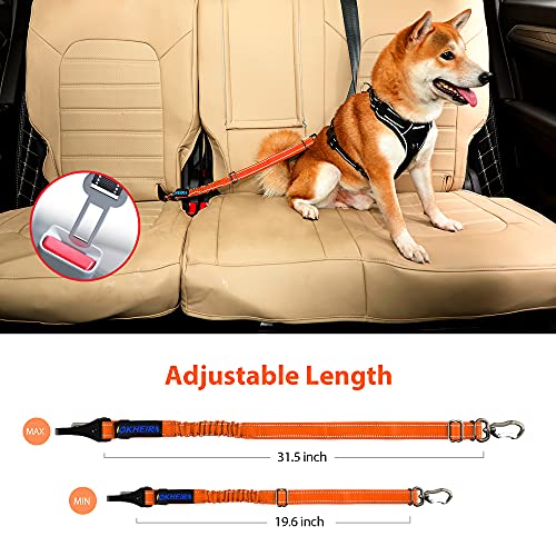 Orange Dog Seatbelt (Carrot Orange)