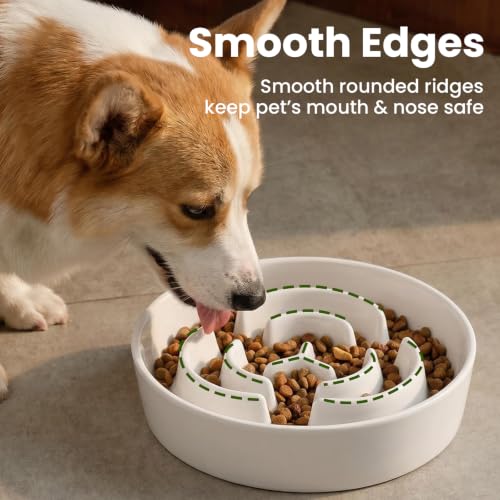 Ceramic Slow Feeder Dog Bowls 0.6 Cups for Small Fast Eaters (White / S - 0.6 Cups)