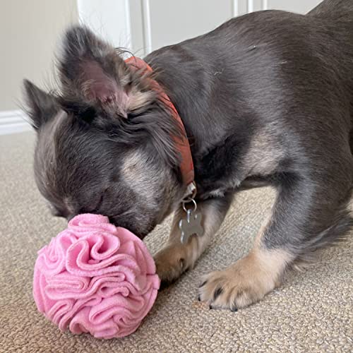 Small Breed Snuffle Puzzle Ball Treat Foraging Dog Toy Pink (Pink / Small)