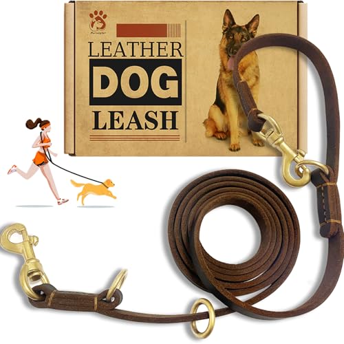 Hands Free Leather Dog Leash 8ft - PetSolution
