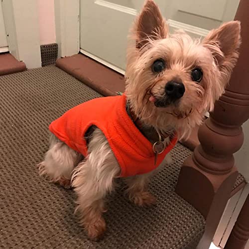 Fleece Vest Dog Sweater (Pumpkin / X-Small (Around 4-lb))