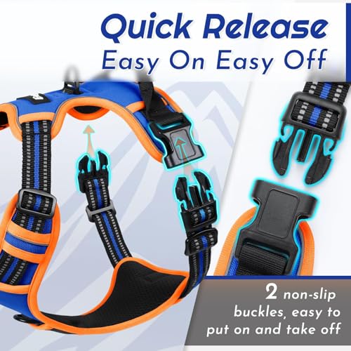 Dog Harness for Small Dogs (X-Small / Blue & Orange)
