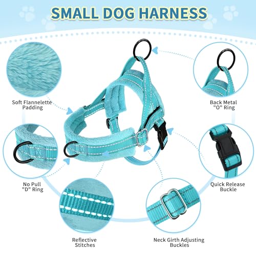 No Pull Small Dog Harness and Leash Set with Front Clip (Small / Teal)