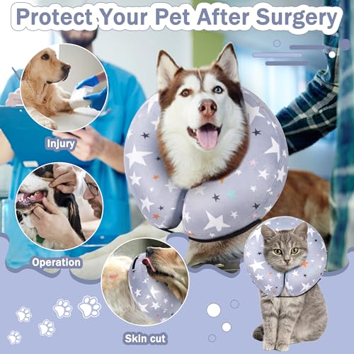 Recovery Donut Collar for Dogs & Cat (Grey / M（neck 8"-11"）)