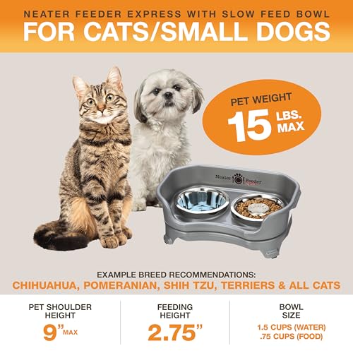 Express Mess Proof Dog Bowls Elevated for Small Breed (Small w/ Metal Slow Feed Bowl / Gunmetal Grey)
