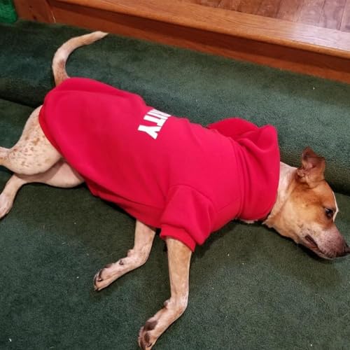 Security Dog Hoodie (#1 Red(Security) / XX-Large (All Breed Sizes))