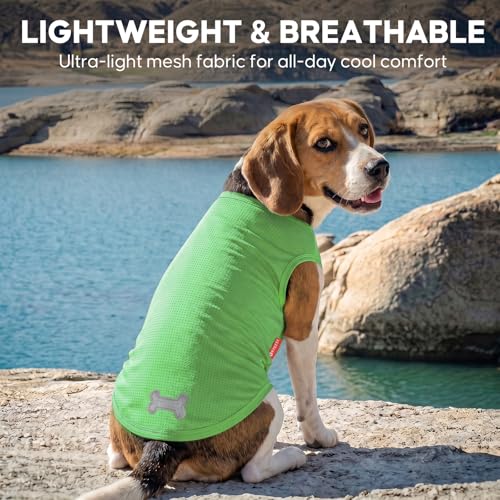 2Pack Dog Shirts for Small Medium Dogs Breathable Mesh Tank Top (X-Large (18-24lbs) / 2# 2Pack (Hawaii+Green))