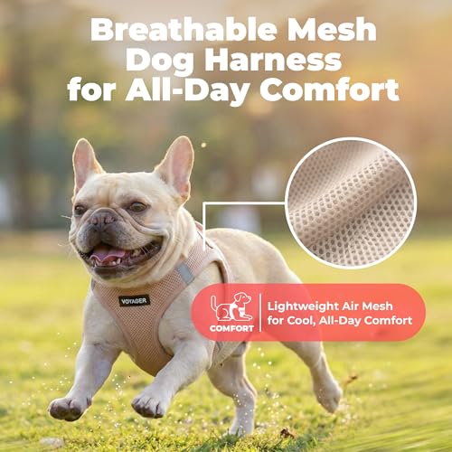 Voyager Step in Air Dog Vest Harness (Khaki / XS (Chest: 13 - 14.5"))