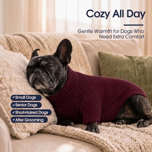 XXL Dog Sweater (Wine-Red / XX-Large)