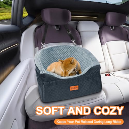 Dog Car Seat for Small Dogs