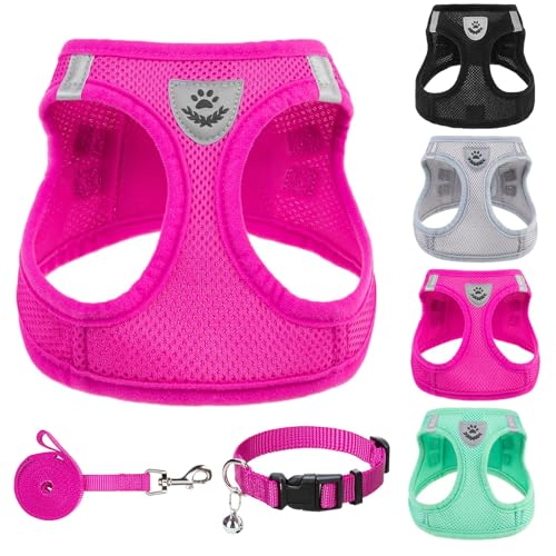 Dog Harness Collar and Leash Set No Pull for Small Medium Sized (Solid DeepPink / L (CHEST 18"-20"))
