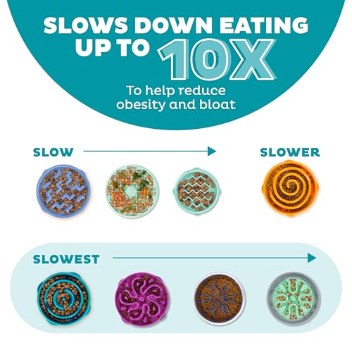 Fun Feeder Slo Bowl (Turquoise / Large)