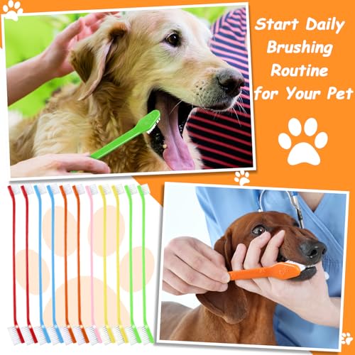 70 Pcs Dog Tooth Brush Dual Headed Pet Toothbrush (Multicolor)