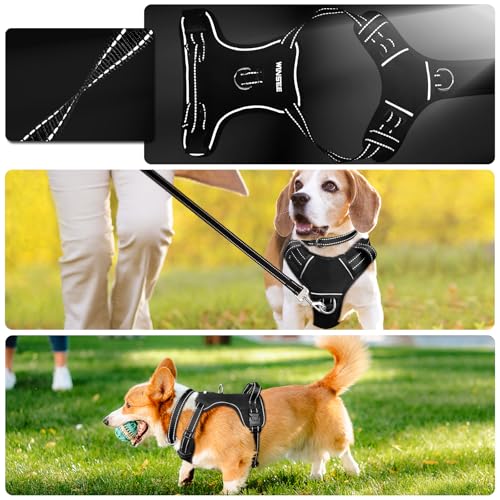 Dog Harness No Pull (Small / Black)