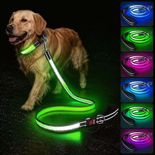 5 Ft LED Dog Leash (5 Ft)