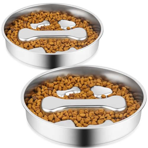 Stainless Steel Slow Feeder Dog Bowls