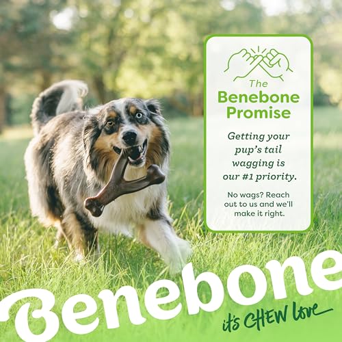 Wishbone Dog Chew Toy for Aggressive Chewers (Large)