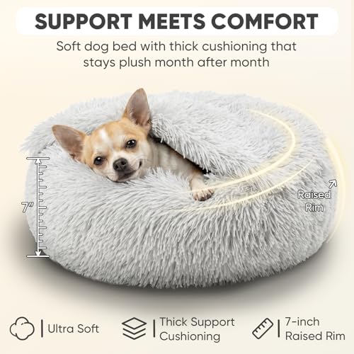 Small Cat & Dog Bed with Cover (20.0"L x 20.0"W x 7.0"Th / Light Grey)