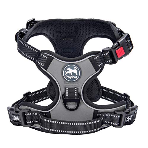 No Pull Dog Harness Small with Front Clip & Neck Release Buckle (XS / Grey)