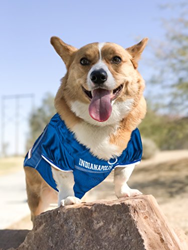 NFL INDIANAPOLIS COLTS DOG Jersey (Medium / Indianapolis Colts)