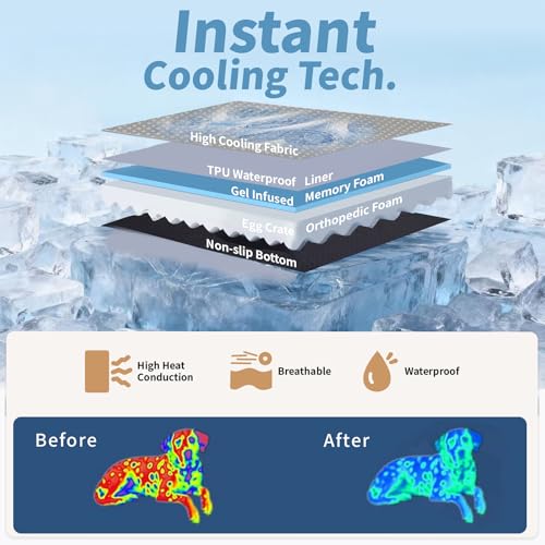 Large Dog Bed with Cooling Gel Memory Foam (Large)