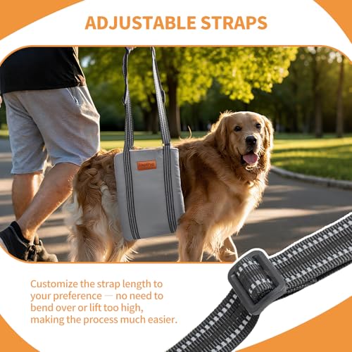 Dog Lift Harness for Large Dogs (X-Large (Pack of 1) / Grey)