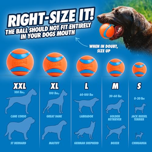 Dog Ball Launcher (Junior / 18in)