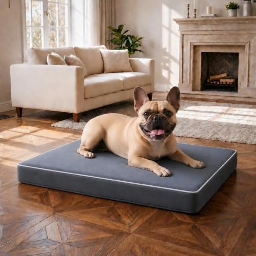 Orthopedic Dog Mat (Grey / L (36*27*3))