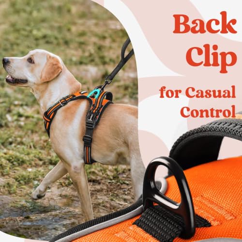 Dog Harness Small Sized (Small / Orange)