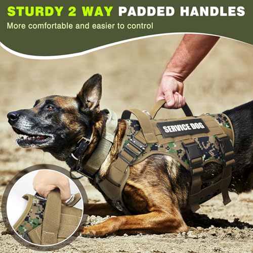 Service Dog Vest Harness for Large Dog (X-Large / Camo Forest)