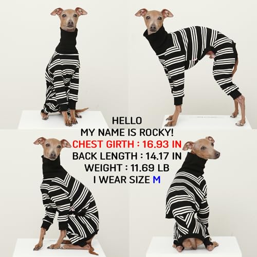 D Doggy Star Italian Greyhound Clothes Soft Stretchy Onesie Refined Stripe Outfit Whippet for Dog Coat (2XL / Onesie Ivory Stripe)
