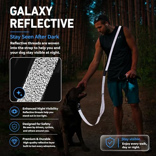 Hands Free Dog Leash (6–9.5 ft / Blue)