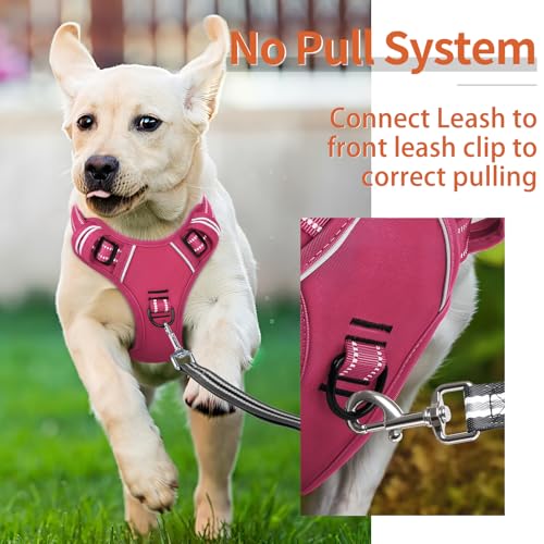 Dog Harness for Medium Dogs No Pull Dog Vest Harness with Soft Padded Handle Reflective for Outdoor Training (M / Rose(Matching Trim))