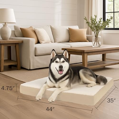 Orthopedic Dog Bed (Tan / X-Large)