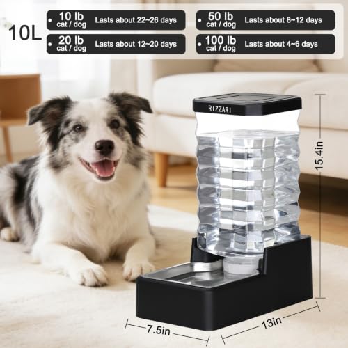 2.64 Gallon Dog Water Bowl Dispenser (Black with Lid & Filter / 10L)