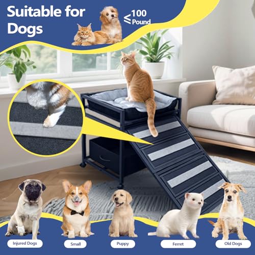 Pet Steps 2 in