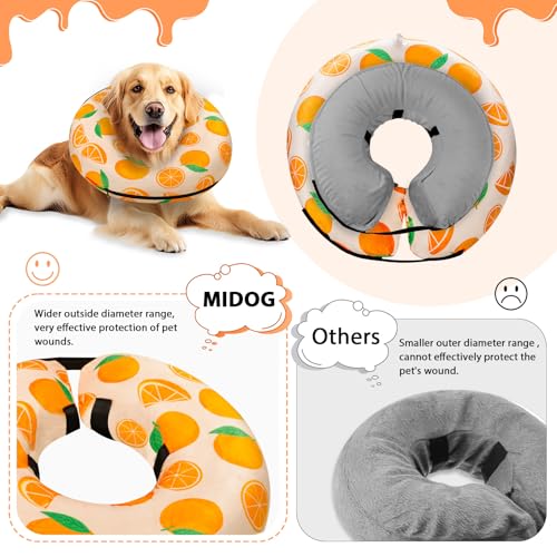 Inflatable Dog Cone (Tangerine / XL(21"-24"))