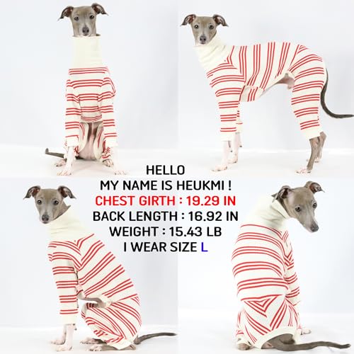 D Doggy Star Italian Greyhound Clothes Soft Stretchy Onesie Refined Stripe Outfit Whippet for Dog Coat (S / Onesie Red Stripe)