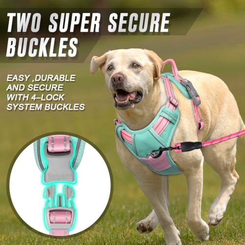 Dog Harness No Pull for Large Dogs Front Back Clips (X-Large(Chest:30-38”) / Cool Mint & Baby Pink)