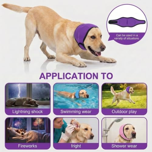 No Flap Ear Wraps for Dogs (Purple / L)